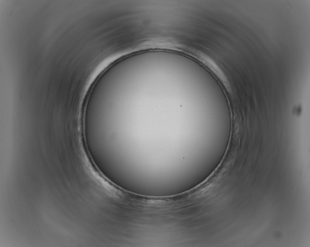 X0000093261339200709261610