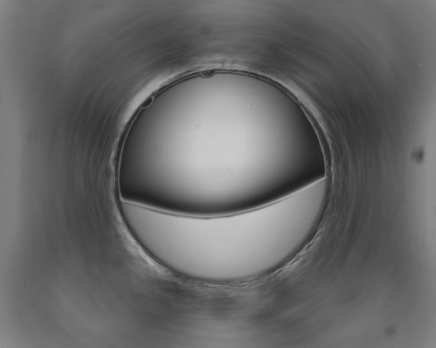 X0000093261341200709261610