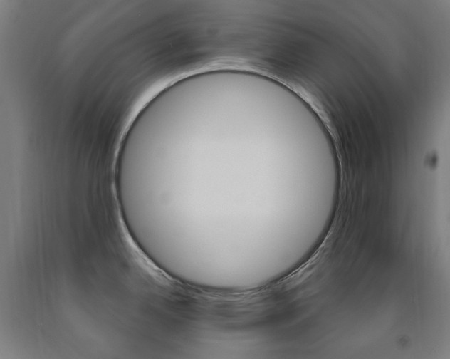 X0000093261342200709261610