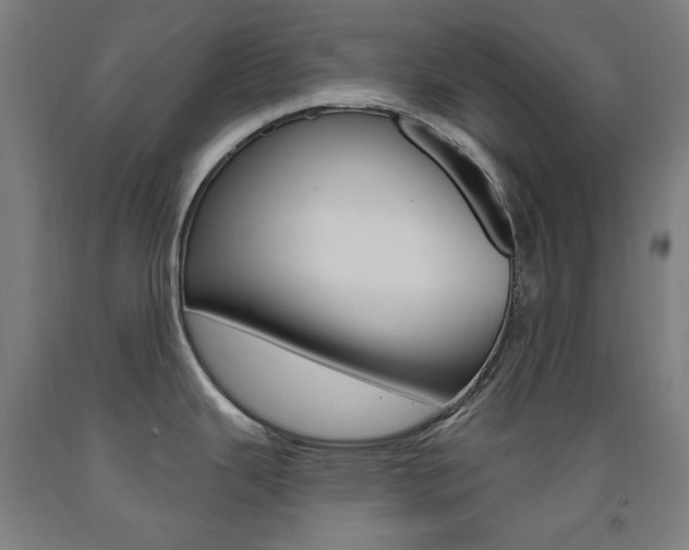 X0000093261343200709261610