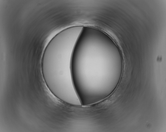 X0000093261344200709261610
