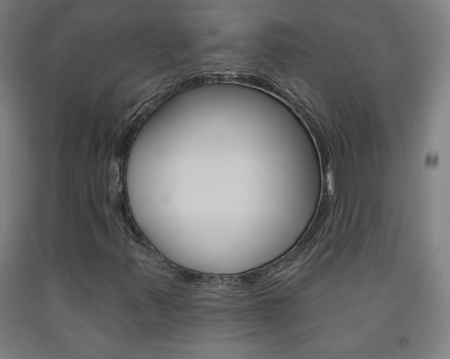 X0000093261347200709261609