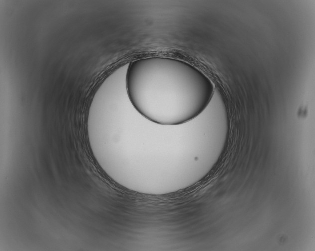 X0000093261348200709261609