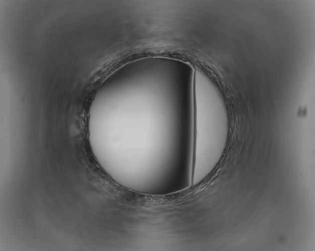 X0000093261349200709261609