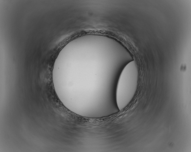 X0000093261350200709261609
