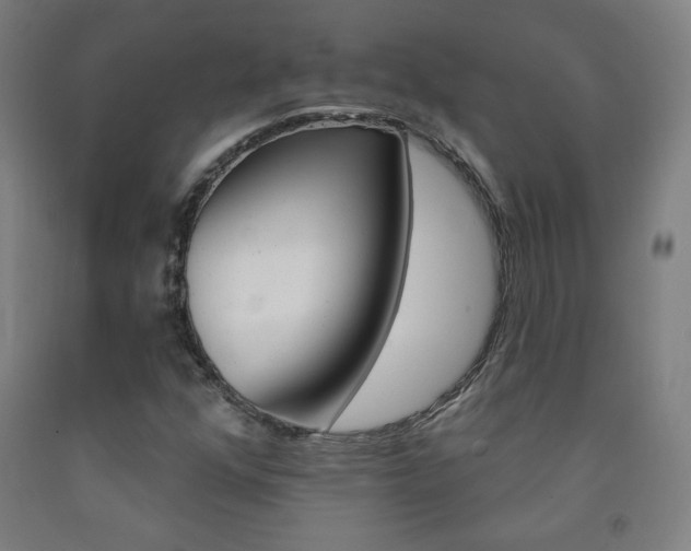 X0000093261352200709261609