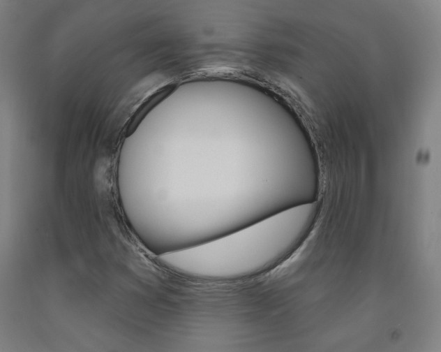 X0000093261353200709261609