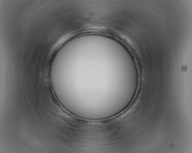 X0000093261354200709261609