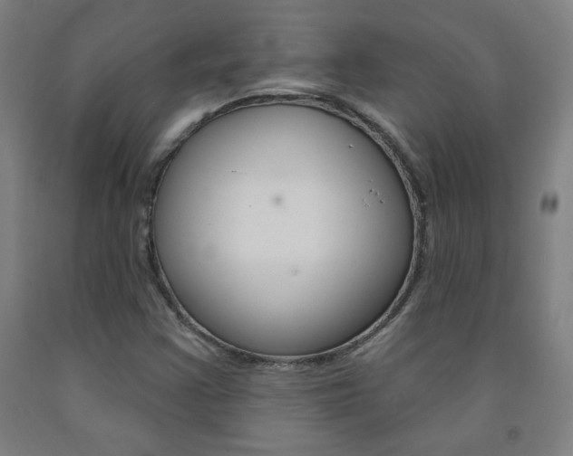 X0000093261355200709261609