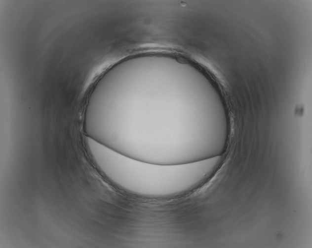 X0000093261357200709261609