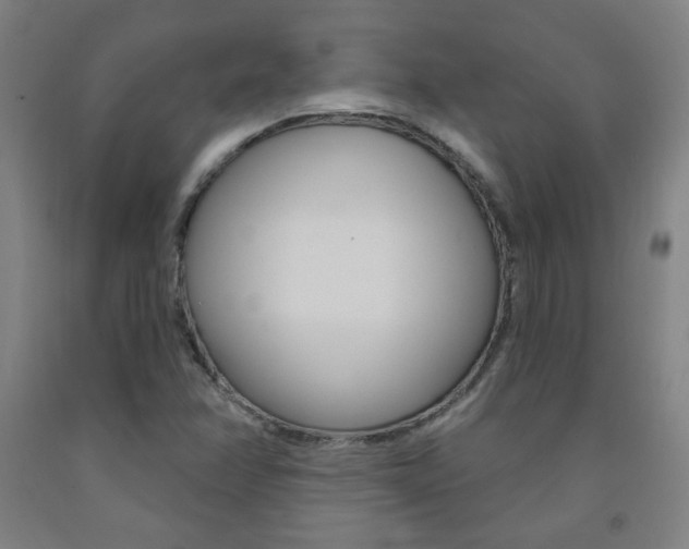 X0000093261358200709261609