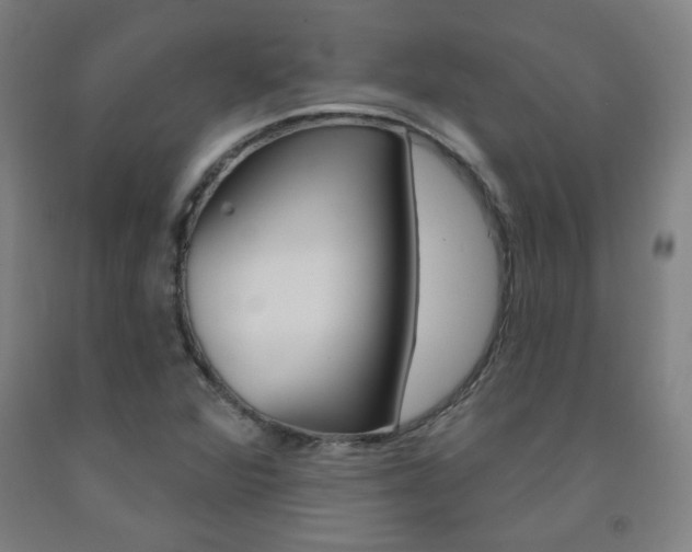 X0000093261360200709261609