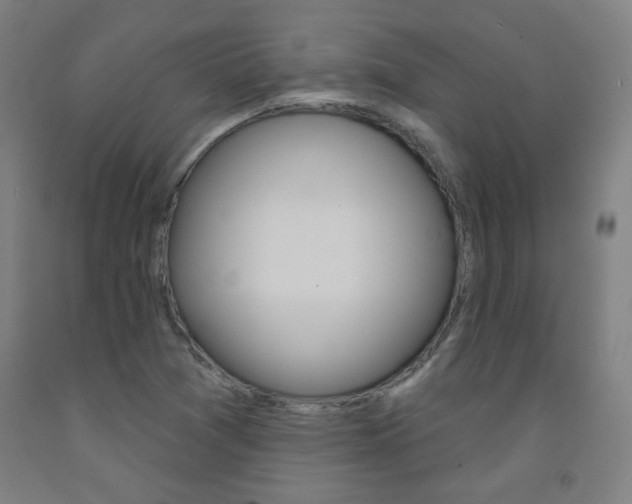 X0000093261361200709261609