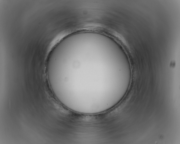X0000093261362200709261609