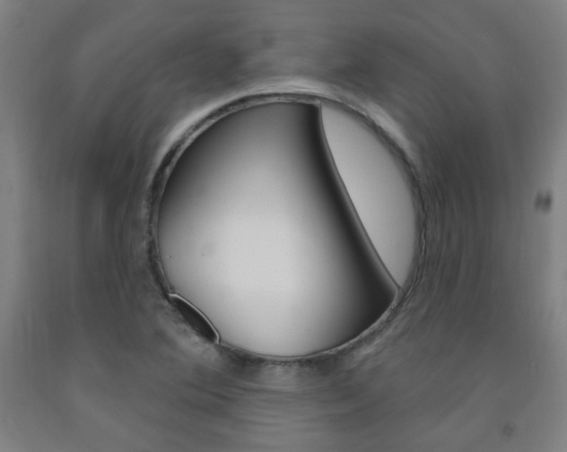 X0000093261364200709261609