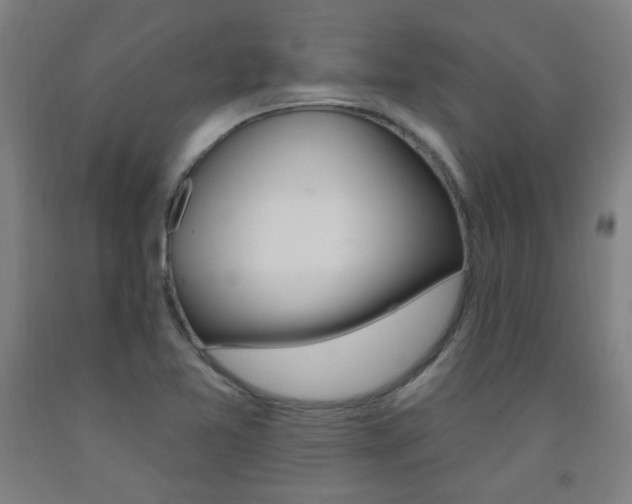 X0000093261365200709261609