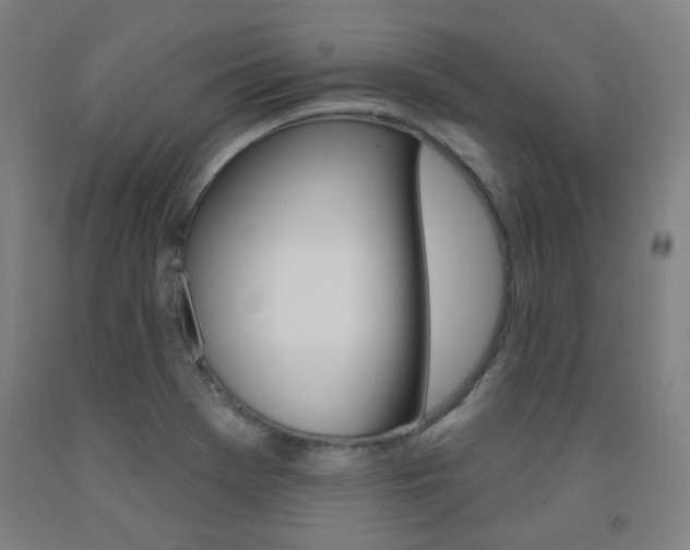 X0000093261369200709261609