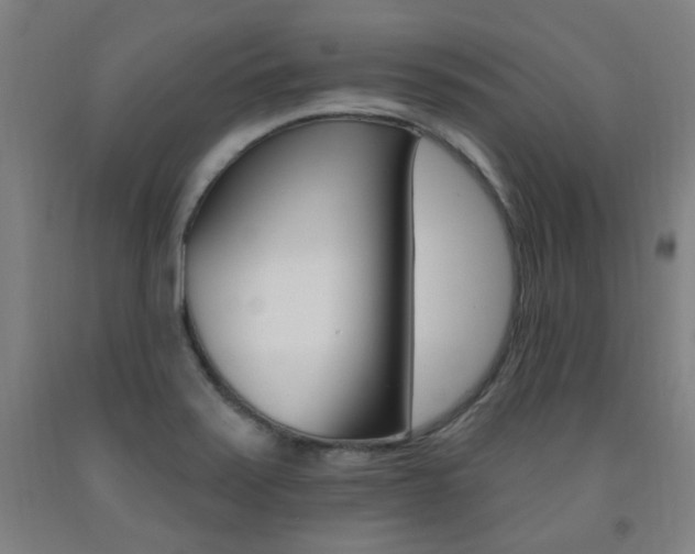X0000093261371200709261609