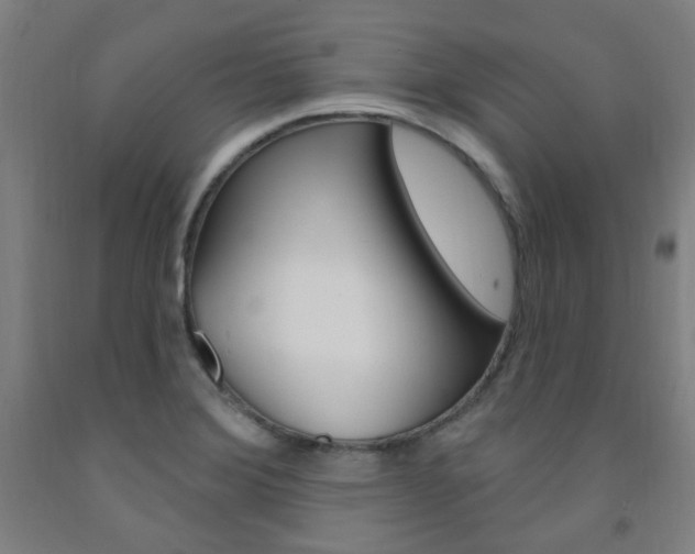 X0000093261372200709261609