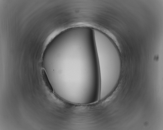 X0000093261373200709261609