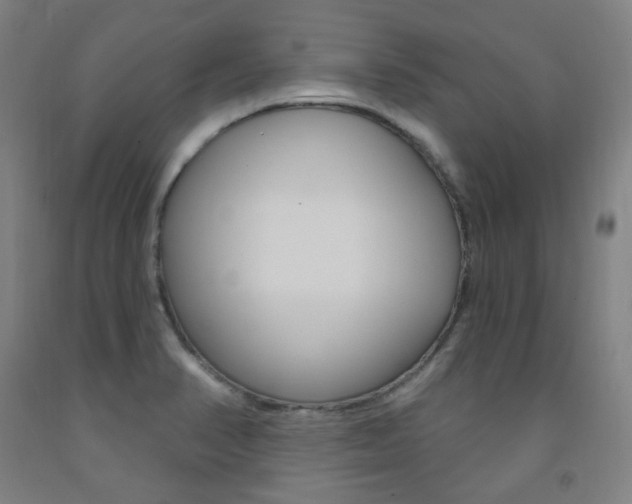 X0000093261374200709261609