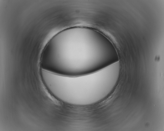 X0000093261375200709261609