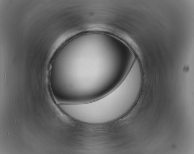 X0000093261376200709261609