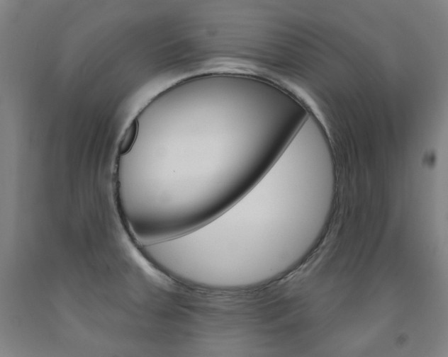 X0000093261379200709261609