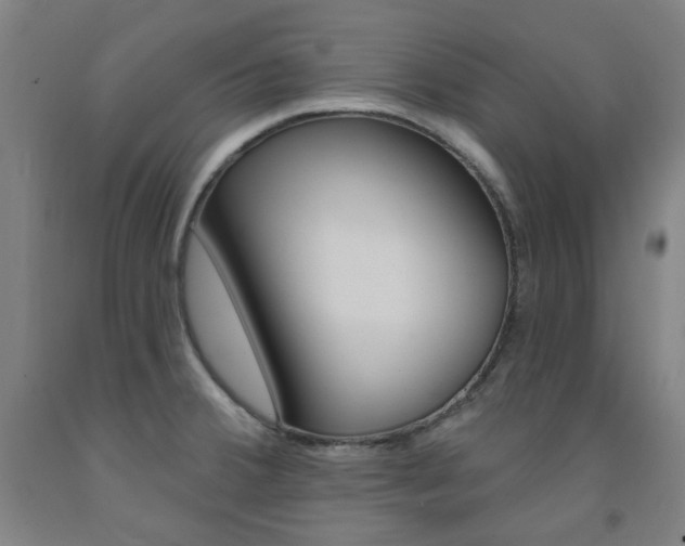 X0000093261380200709261609
