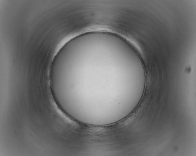 X0000093261382200709261609