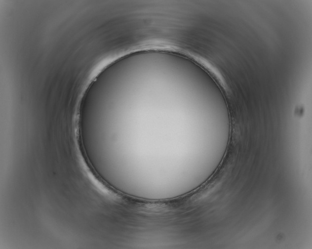 X0000093261383200709261609