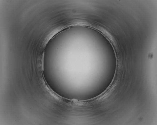 X0000093261385200709261609