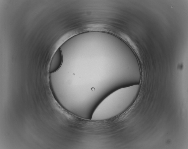 X0000093261386200709261609