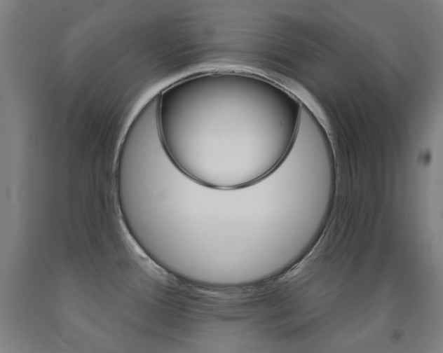 X0000093261388200709261609