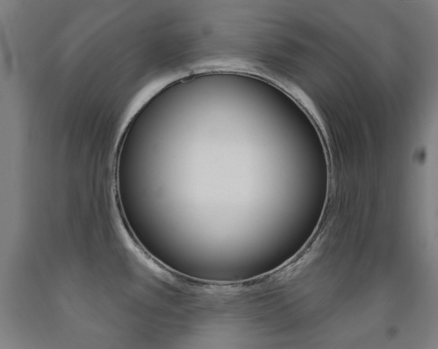 X0000093261389200709261609