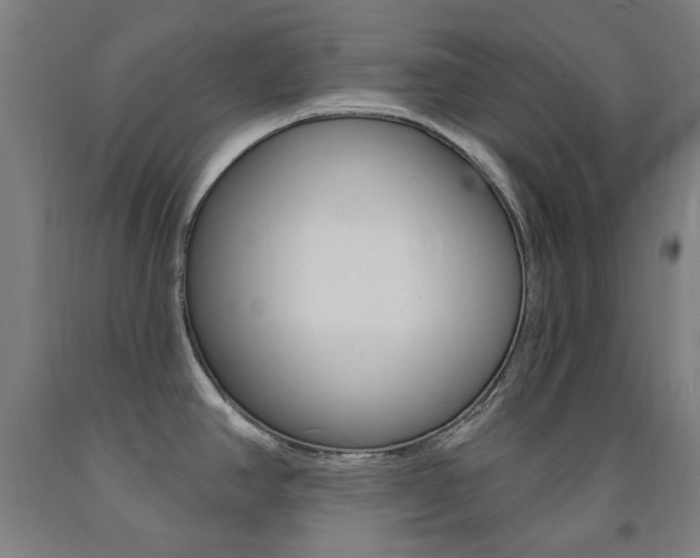 X0000093261390200709261609