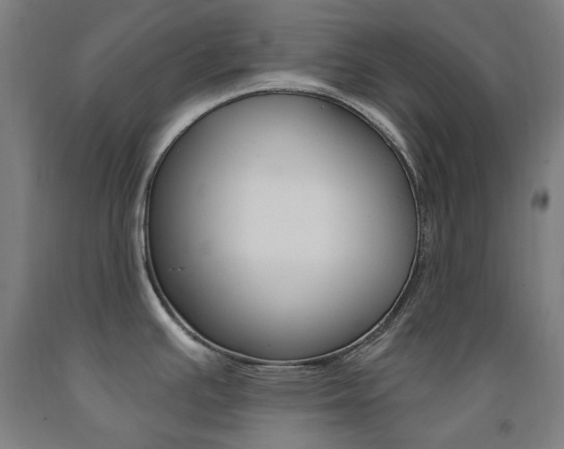 X0000093261391200709261609