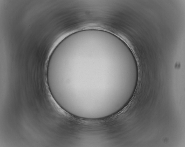 X0000093261392200709261609