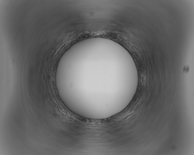 X0000093261393200709261608