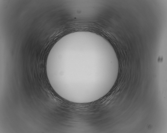 X0000093261394200709261608