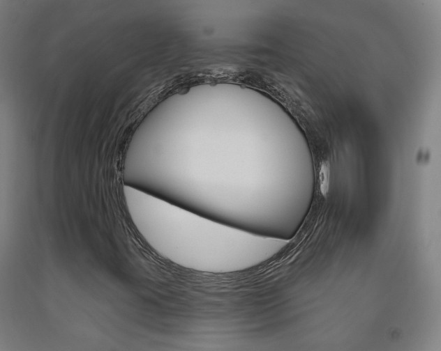 X0000093261395200709261608