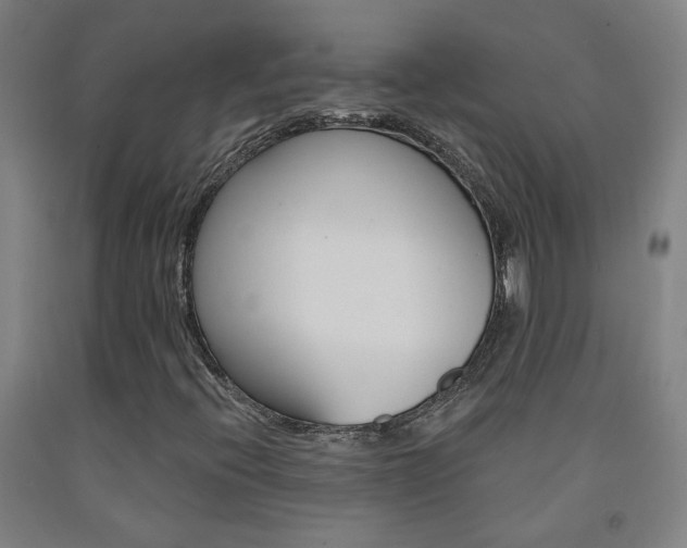 X0000093261396200709261608