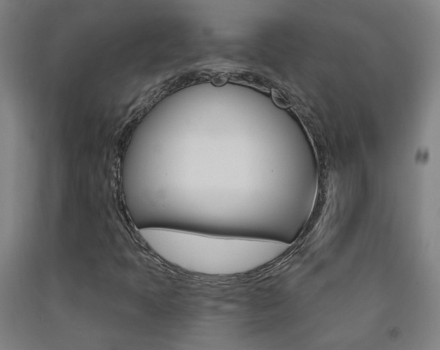 X0000093261397200709261608