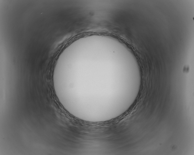 X0000093261398200709261608