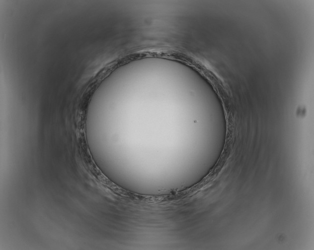 X0000093261399200709261608