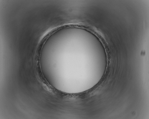 X0000093261400200709261608