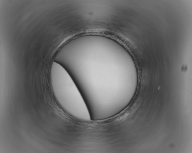 X0000093261401200709261608