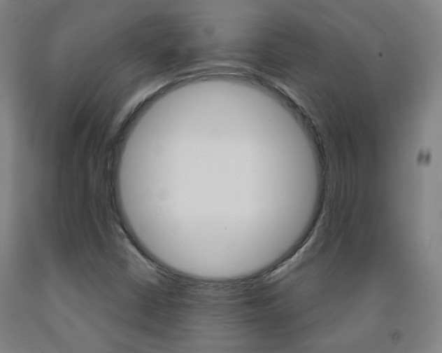 X0000093261402200709261608