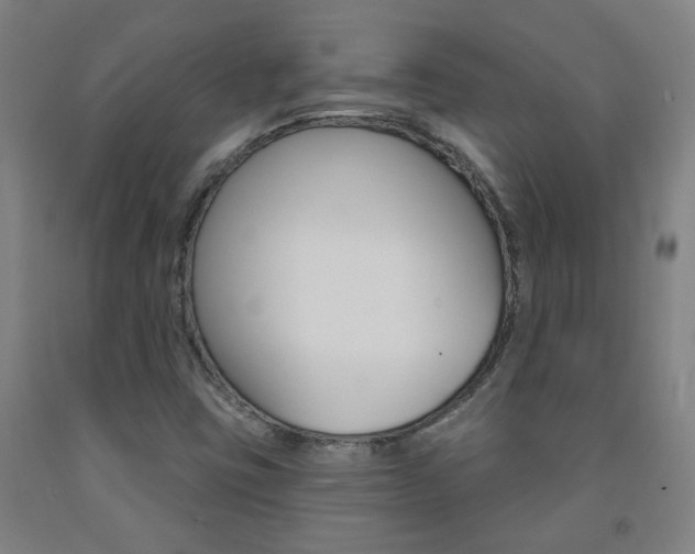 X0000093261403200709261608