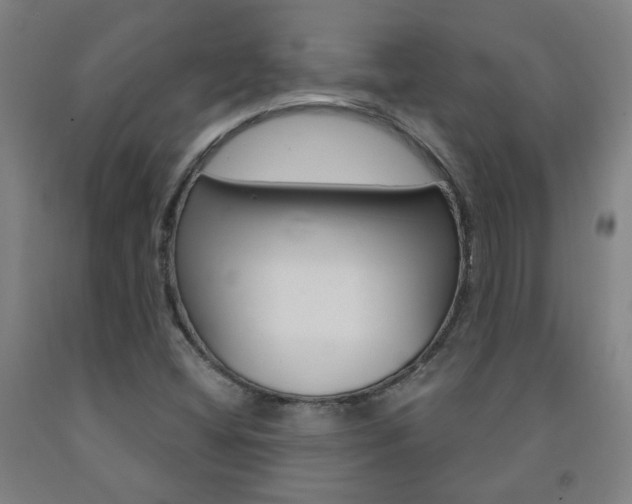 X0000093261404200709261608